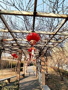 PEKIN - BIG BELL TEMPLE - Temple de la Grosse Cloche  (6)
